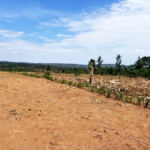 nyirayo/owner:0788866432