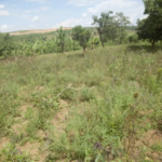 nyiracyo/owner:0788468388