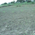 nyiracyo/owner:+250788374790