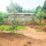 nyiracyo/owner:0784657769 / 0784657769