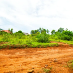 nyiracyo/owner:+250784008340