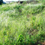 nyiracyo/owner:+250780583008