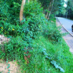 nyirayo/owner:0788852919/0788756623