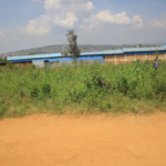 nyiracyo/owner:0788684117